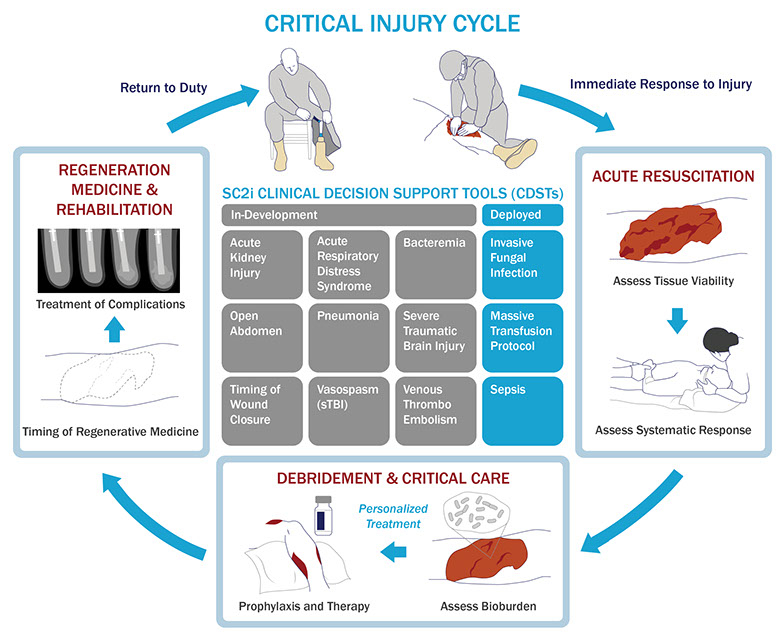 SC2i Injury Cycle
